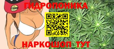 спайс Ивантеевка